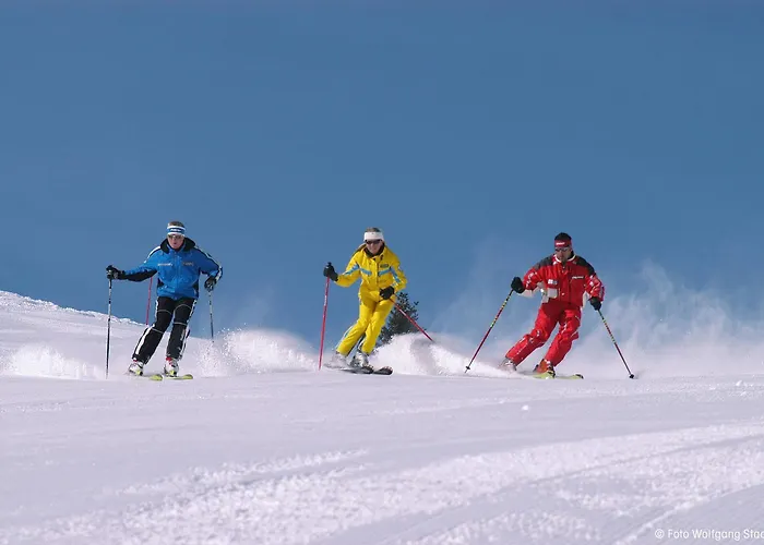 Eurothermenresort מלון 4*